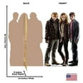 thumbnail image 2 of Advanced Graphics Cardboard Stand-Ups, 44.00" x 67.00", 2 of 2