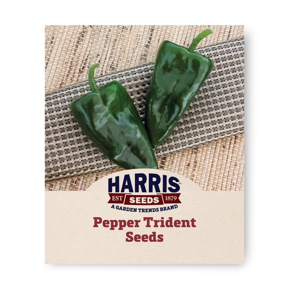 Harris Seeds Trident Ancho Pepper, Non-GMO, 50 Count