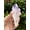 Amethyst Point, variant on Large Raw SunStone, Natural SunStone, Natural Rough SunStone, SunStone Rough, SunStone Rock (SunStone, 1 piece)