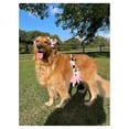 thumbnail image 3 of Cow Headband & Udder Dog Costume, 3 of 8