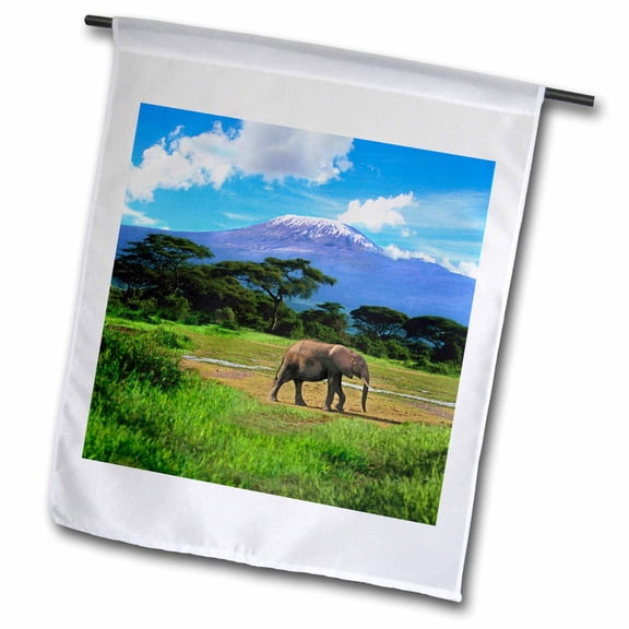 3dRose, African elephant, Mt Kilimanjaro, Amboseli, Kenya - AF21 MGL0001 - Miva Stock, 12 x 18 inch Garden Flag