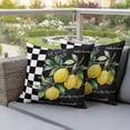 thumbnail image 3 of Hello Summer Lemons Outdoor Pillow Covers Pack of 2 Farmhouses Fruits Black White Checkered Waterproof Throw Pillow Covers Decorative Cushion Cases for Patio Garden Tent Balcony Couch 16x16 inch, 3 of 9
