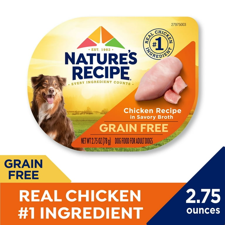 Grain free wet dog food best sale