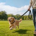 thumbnail image 5 of 2 Pcs Heavy Duty Leash 47.2 Inch for Medium and Large Dogs, Double Sided Reflective Nylon Leash with Padded Handle, Black Dog Walking Leash for Outdoor Training, Pet Leashes, 5 of 7
