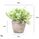 thumbnail image 2 of 6 Piezas de Plantas Artificiales Mini Macetas, Planta de Plástico, Flor Verde en Maceta, Decoración de Mesa, Escritorio de Computadora, 2 of 4