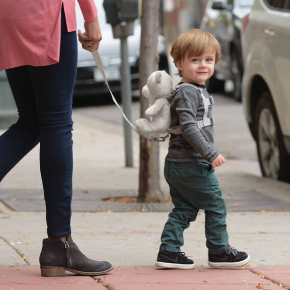 On the Goldbug 2-in-1 Toddler Child Safety Security Harness Buddy, Bear