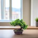 thumbnail image 5 of Plastic Bonsai Artificial Plant Decor for Decoration, 5 of 5