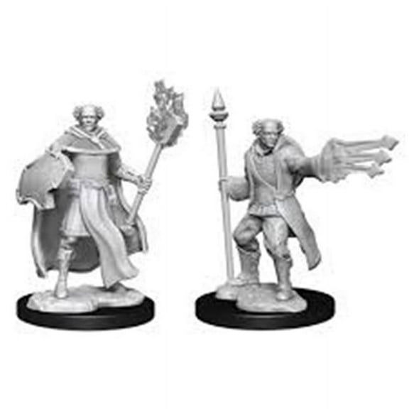 DD Character - Male Multiclass Cleric   Wizard