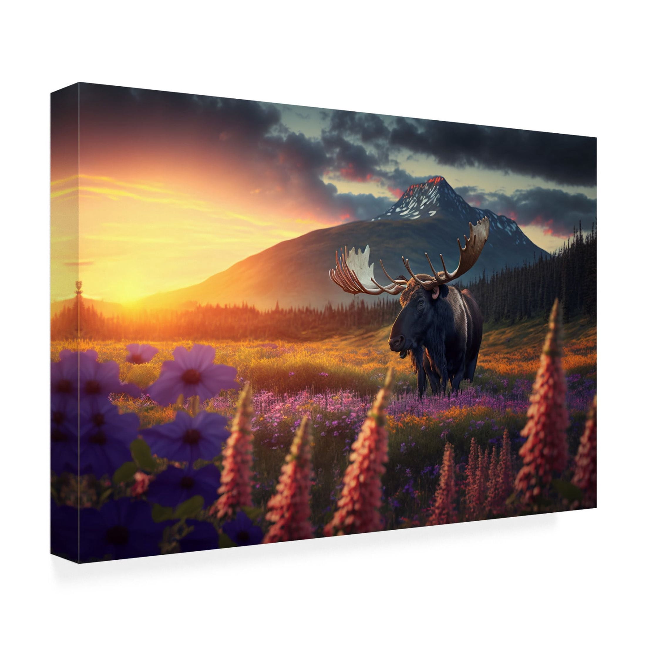 Canvas Wall Art - Ray Heere 'North American Wildlife 7' Wall Art for Living Room, Bedroom, or Office Décor by Trademark Fine Art - 19 x 12 Inches