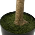 thumbnail image 6 of Noble House Riverlake 6' x 3' Artificial Money Tree, Green, 6 of 7