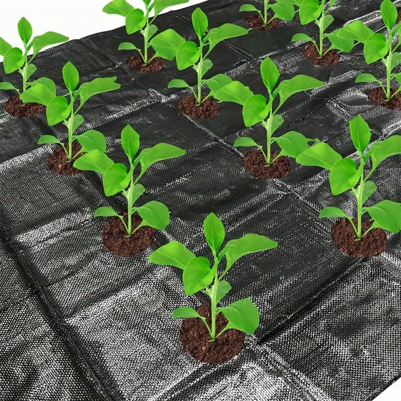 VividGarden Weed Barrier Fabric 4-Hole Breathable Non-Woven with Drainage Holes 1-Count 1.2m Wide x 10m Long 8cm Hole Diameter