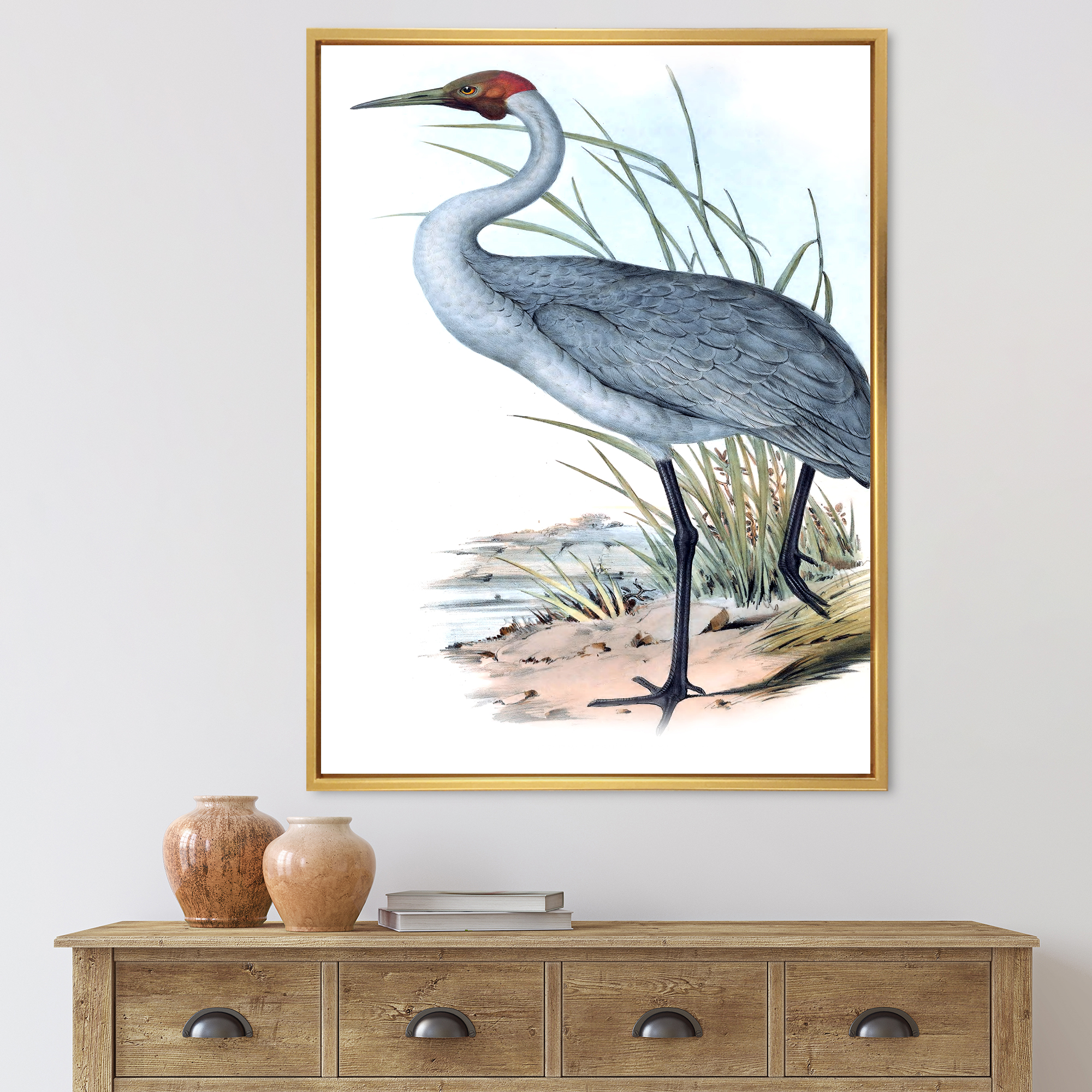 Designart 'Ancient Australian Birds V' Traditional Framed Canvas Wall Art Print