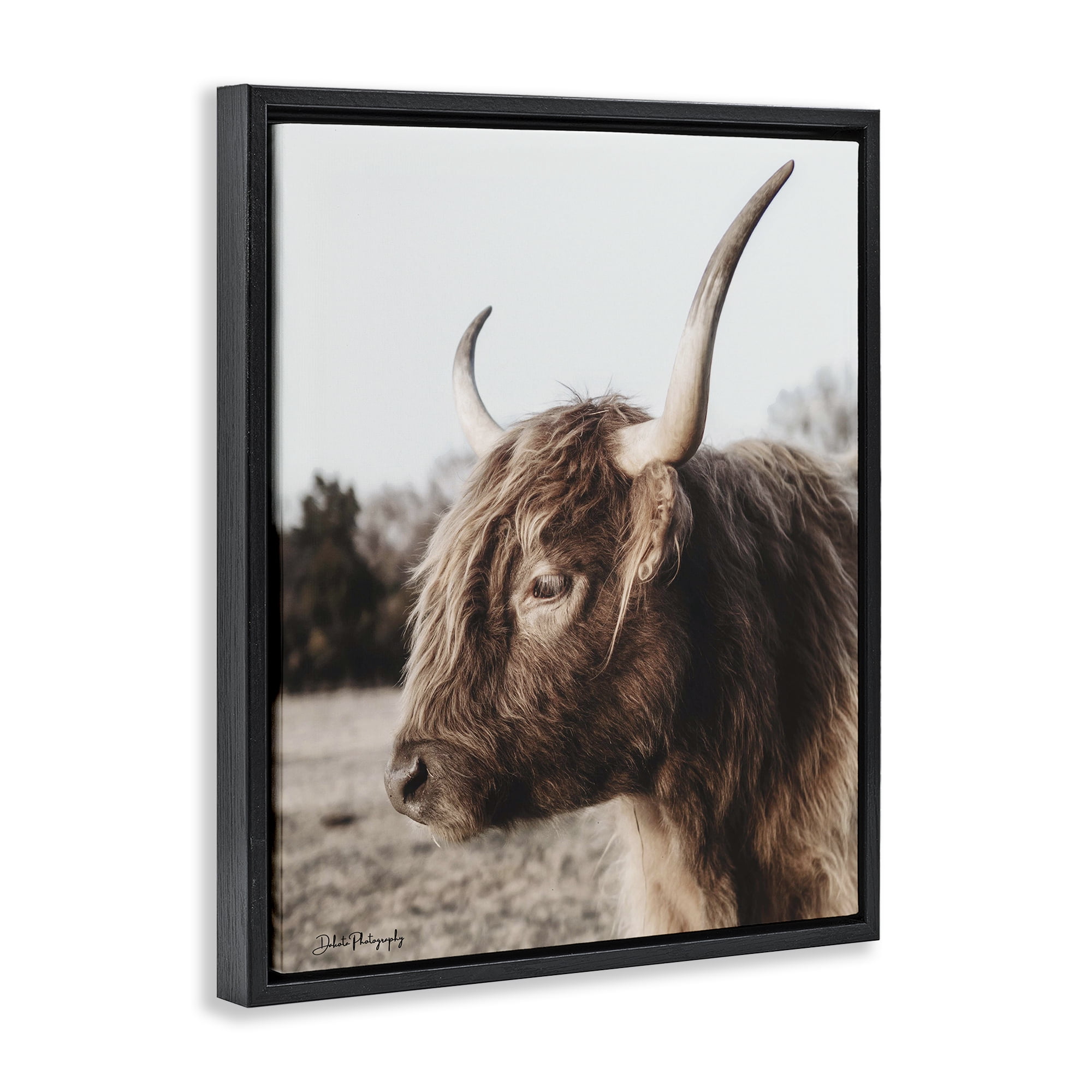 Stupell Industries Horned Cattle Peering Black Framed Floater Canvas Wall Art, design by Dakota Diener