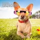 thumbnail image 3 of Gafas de sol para Mascotas ANGGREK Protección UV banda elástica ajustable para perros pequeñas, 3 of 8