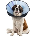 thumbnail image 2 of Calm Paws Collier de Récupération pour Chien, Très Grand, 2 of 2