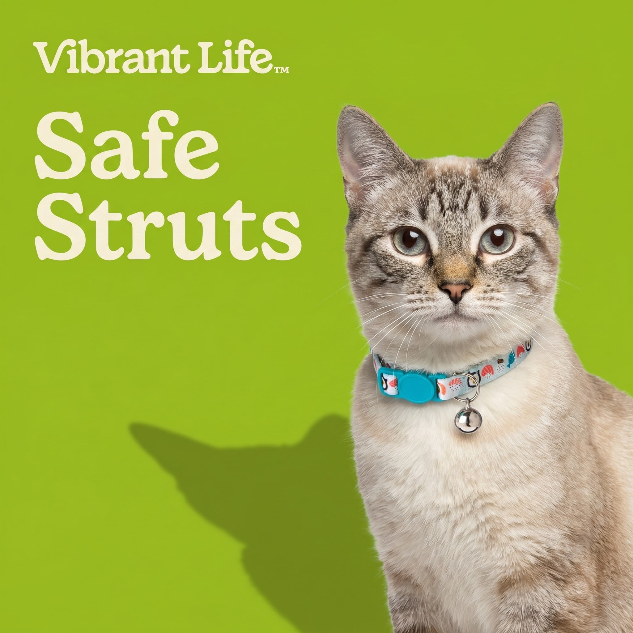 (3 pack) Vibrant Life Break-Away Adjustable Cat Collar, Multicolor Sushi, One Size