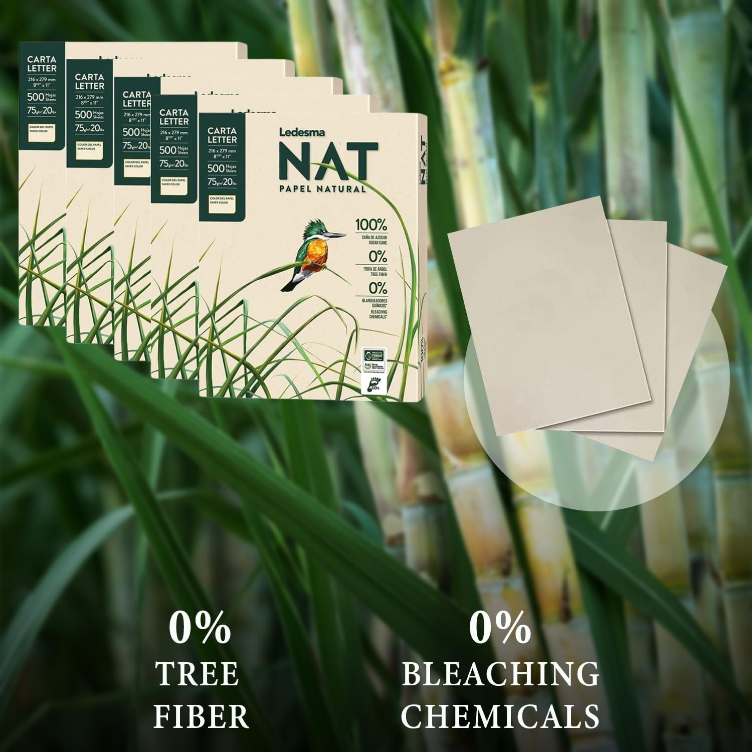 Ledesma NAT, Letter Size (8.5"x11") Natural Sugarcane Pulp Printer Paper, For All Office And Photocopy Printers, Designs, Crafts (5 Reams (2500 Sheets))