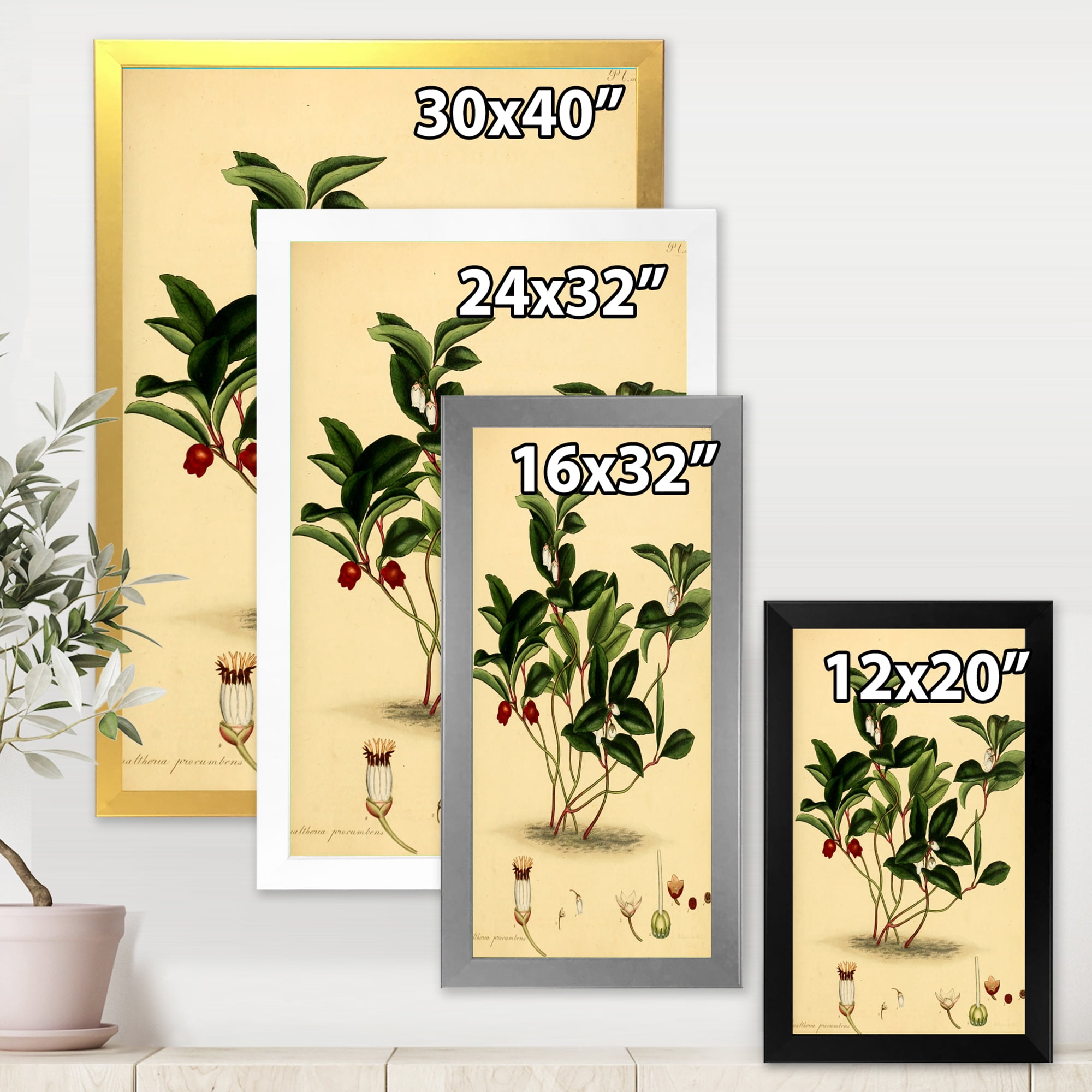 Designart 'Ancient Plant Life III' Traditional Framed Art Print