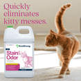 thumbnail image 4 of Cat Stain and Odor Eliminator: Enzyme Urine Odor Neutralizer and Stain Remover, 1 Gallon, 4 of 10