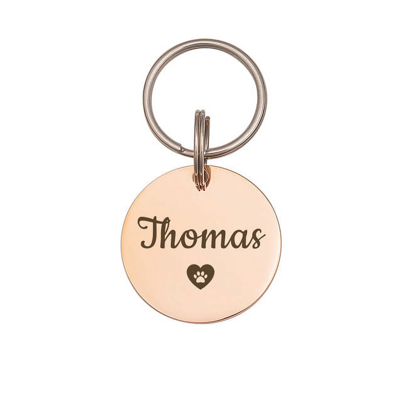 Anavia Stainless Steel Double Sided Round Name and Icon Engraved Dog & Cat ID Tag, Multi-color, L