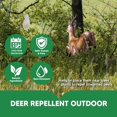 thumbnail image 4 of Repelente de venados AMDEIUR Deer Away para plantas, 12 paquetes, 4 of 8