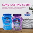 thumbnail image 4 of Ambientador Clorox Fraganzia Lavanda y Eucalipto 12 x 355 ml, 4 of 6