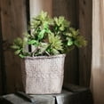 thumbnail image 3 of Faux Silk Artificial Albizia Flower Stem 25" Tall, 3 of 9