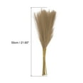 thumbnail image 2 of 15uds Imitación Pampas,21/55cm Falso Pampas Decoración para Sala Habitación Fiesta Pared Jarrón Boda Decoración,Marrón, 2 of 7