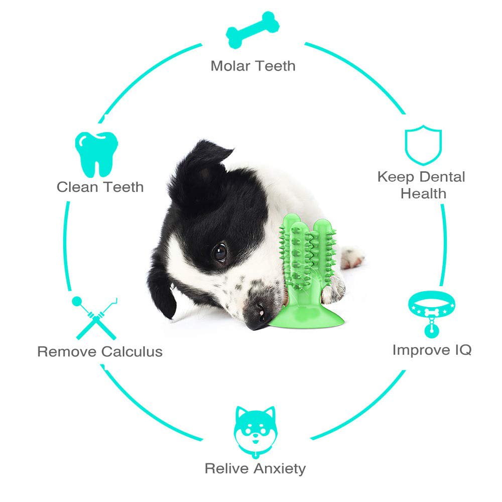 Dog Toothbrush Chew Toys Dog Teeth Cleaning Stick Puppy Brushing Dental Oral Care Teething Chew Toy for Small Medium Large Dogs Walmart