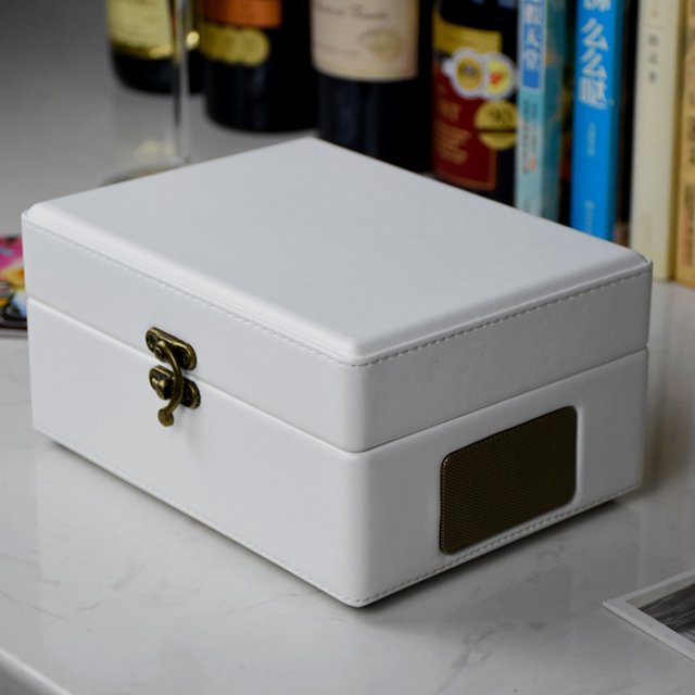 Lecteur, avec Lecteur Intégré Album Portable U Album Portable Bt 5.0 Lecteur U Lecteur Hi-Fi Lecteur Audio U Bt 5.0 Télécommande Portable avec Télécommande