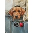 thumbnail image 1 of Caroline Cook Undercover Agent Greetings Card (Pack of 10), 1 of 1