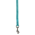 thumbnail image 1 of Zack & Zoey Brite Color Nylon Leads for Dogs Choose from 11 Colors 3 Sizes Dog Leash Lead (Medium - Bluebird), 1 of 1
