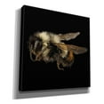 thumbnail image 2 of Epic Graffiti 'Fuzzy Buzzy' by Epic Portfolio Giclee Canvas Wall Art, 18"x18", 2 of 8