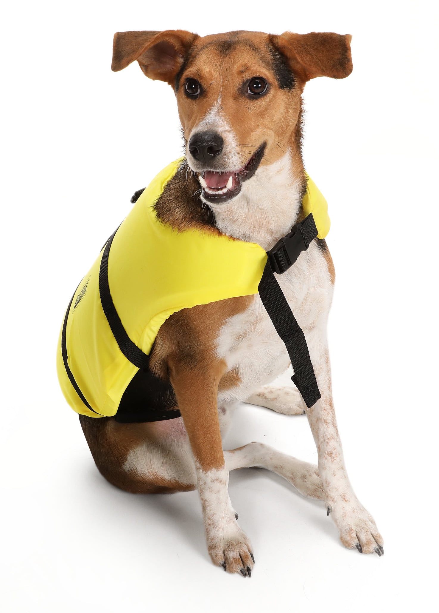 xs dog life jacket