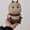 Ladybug, variant on NCQ Realistic Bee Plush 8 inch Cute Wild Honeybee Stuffed Animal Ultra Soft Plushies Toys Kawaii Gifts for Kids Adults Yellow