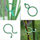 thumbnail image 4 of 100 Pieces Garden Clips Plant Support Clips, Reusable Plant Clips Plastic Rings, Durable Plant Clips Twisty Plant Rings For Supporting Climbing Plant, 4 of 5