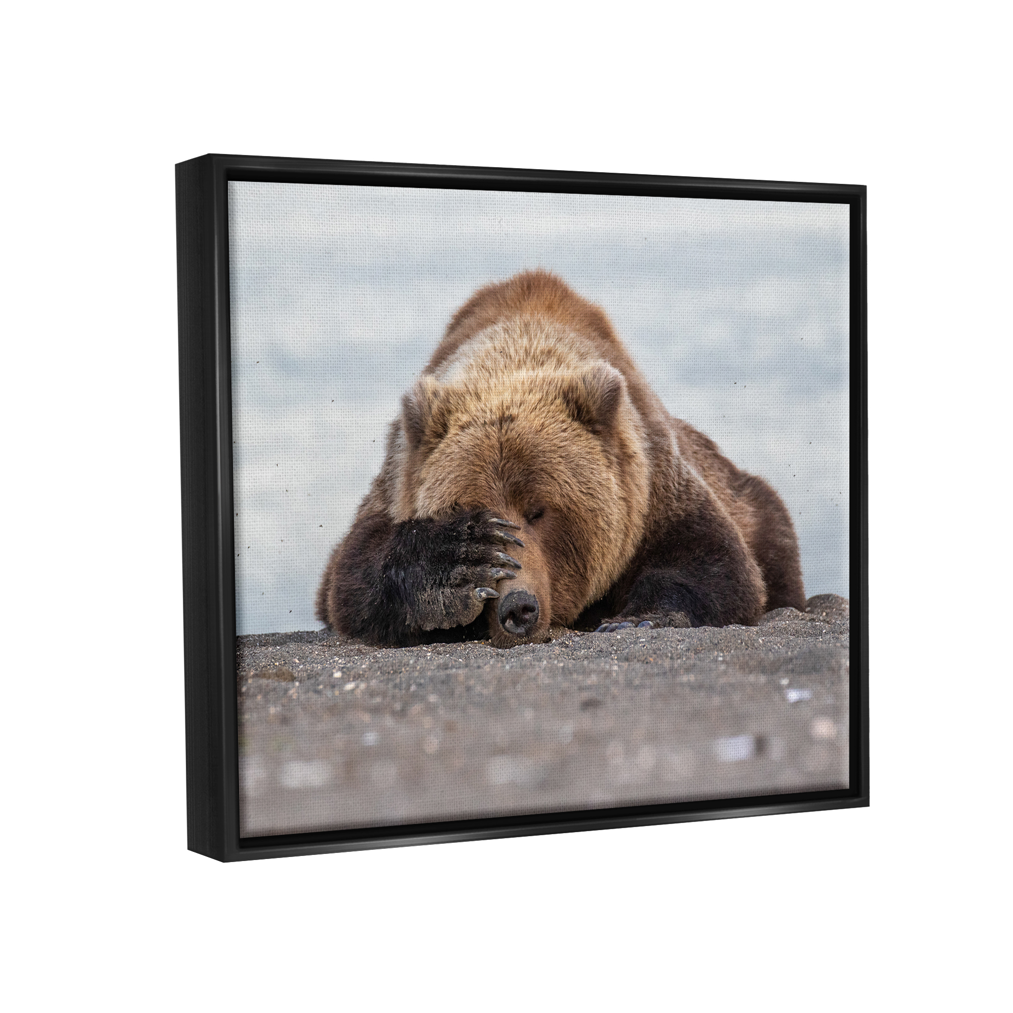 Stupell Industries Monday Blues Bear Animals & Insects Photography Black Floater Framed Canvas Art Print Wall Art, 21 x 17