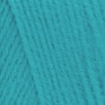 thumbnail image 5 of Red Heart® Super Saver® #4 Worsted Acrylic Yarn, Turqua 7oz/198g 364yd (3Pk), 5 of 11