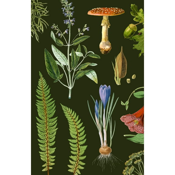 Woodland (Blank Lined Journal), (Hardcover)