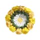 thumbnail image 4 of Posavasos de ganchillo con forma de flor, bonito regalo, protector de mesa, tapete aislante para taza Amarillo, 4 of 9