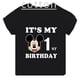 thumbnail image 2 of Ropa para niños, camisetas de algodón con número de cumpleaños de Mickey Mouse, ropa kawaii para niñas, camisetas para niños, dibujos animados de anime, ropa informal, 2 of 5