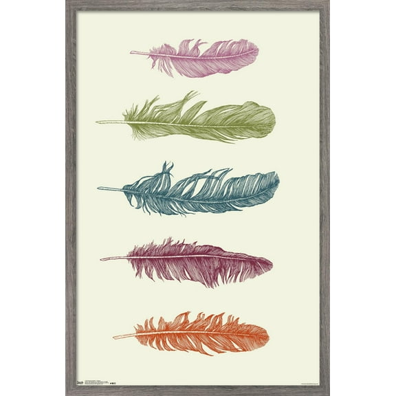 Rachel Caldwell - Feathers Wall Poster, 22.375" x 34", Framed