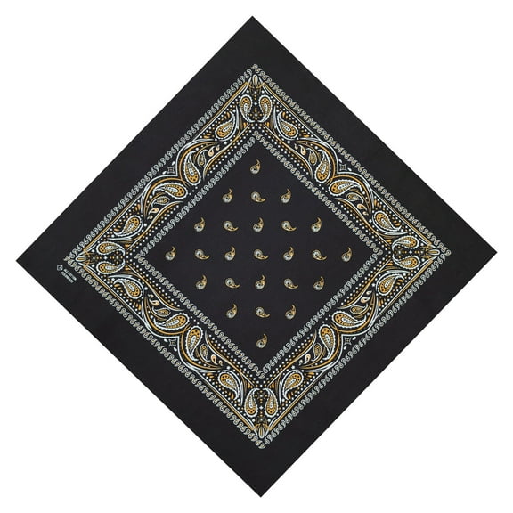 Acahhotxx Hiphop Square Scarf, Paisleys Pattern Handkerchief Bandanas Multipurpose Handkerchief Outdoor Scarf for Men and Women Neckwear