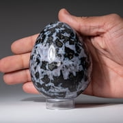 Genuine Polished Indigo Gabbro (3.5) Egg from Madagascar