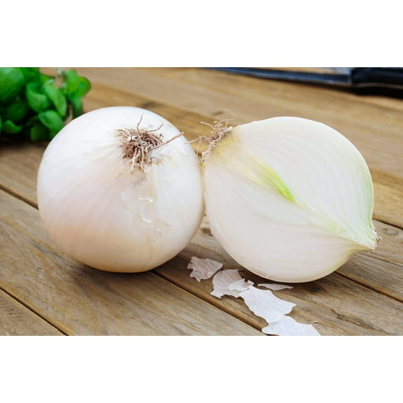 500 *Seeds -  SWEET WHITE SPANISH ONION Allium Cepa Vegetable Seeds