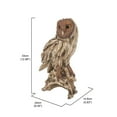 thumbnail image 3 of Hi-Line Gifts 13" Barn Owl Standing on Stump Garden Statue, 3 of 5