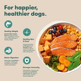 thumbnail image 4 of Jinx Small Breed Sweet Potato, & Carrot Dry Dog Food, Grain Free, 4 lb Bag, 4 of 12