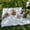 35.43x70.87inch, variant on French Style Fringe Blanket, Heavy-Duty Outdoor Blanket with White Fringe Trim,Machine-Washable Camping Bedspread for Beach Park