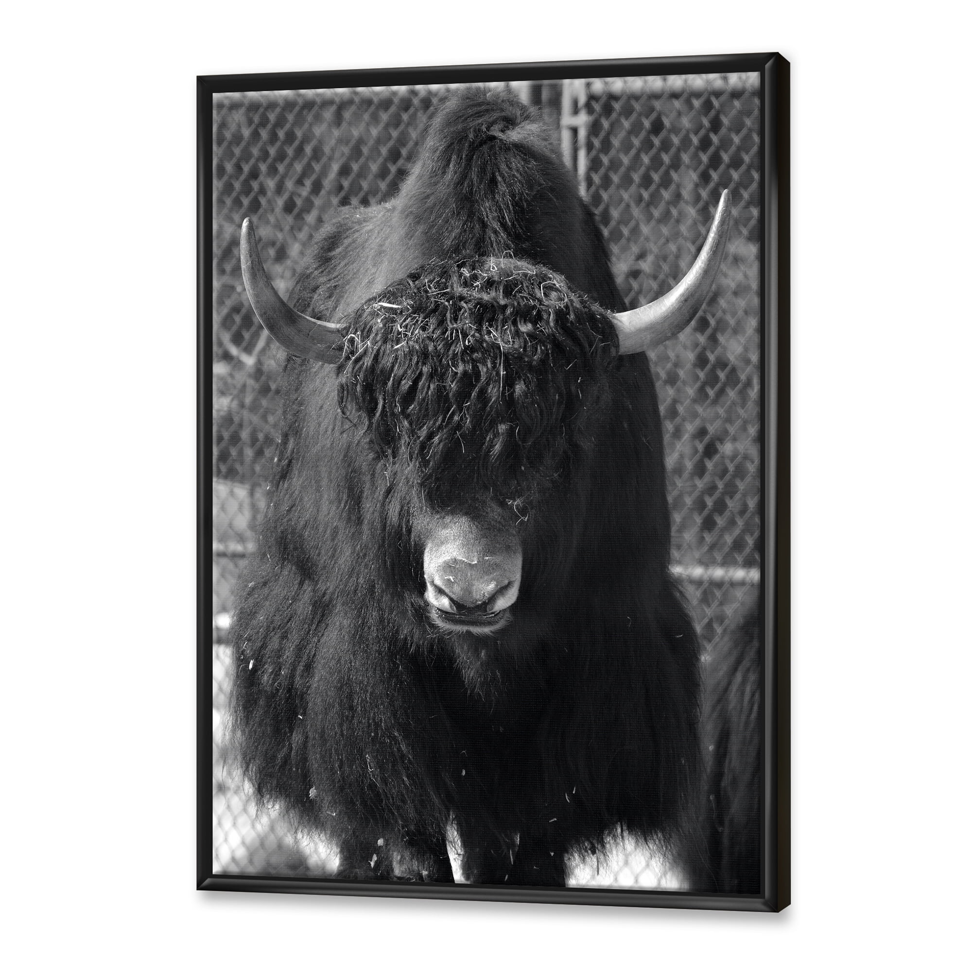 Portrait Of Monochrome Wild Bull In Winter Forest II 12 in x 20 in Framed Photography Canvas Art Print, by Designart