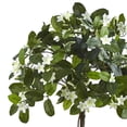 thumbnail image 2 of Nearly Natural 6820 Stephanotis Topiary 3 Pouces avec Jardinière, 2 of 3
